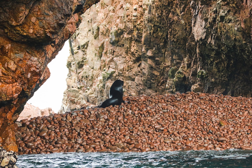 Las Ballestas